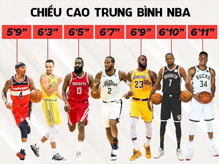 chieu-cao-trung-binh-cau-thu-bong-ro-NBA