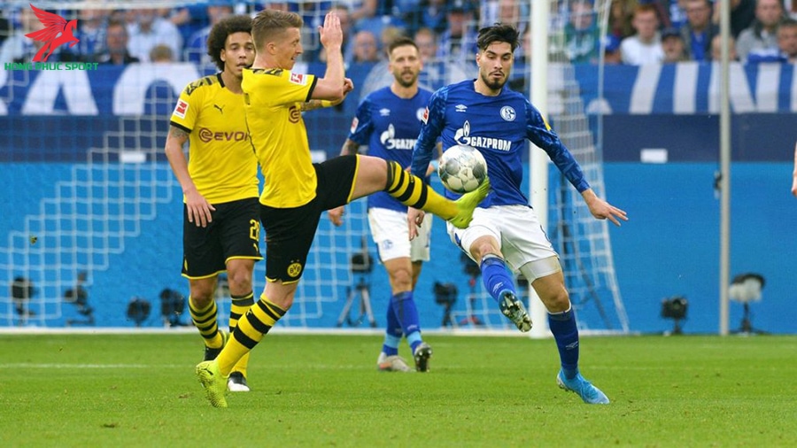 Schalke 04 trở lại đường đua áo đấu sau 5 năm vắng bóng Schalke 04 trở lại đường đua áo đấu sau 5 năm vắng bóng